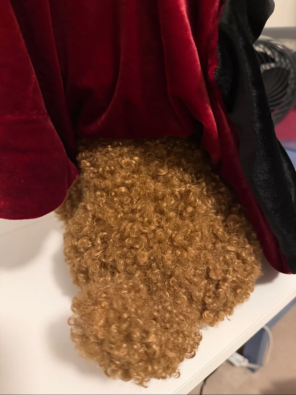 Pottery Barn Dante Dracula Dog Pillow. Cute